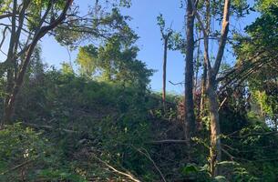 Lot in Cosón, Dominican Republic
