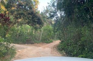 Lot in Cosón, Dominican Republic