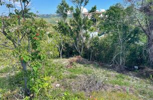 Lot in Las Terrenas, Dominican Republic