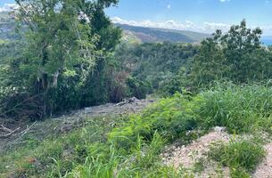 Lot in Las Terrenas, Dominican Republic