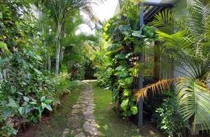 House in Las Ballenas, Dominican Republic