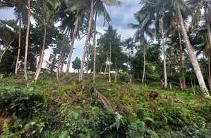 Lot in Cosón, Dominican Republic
