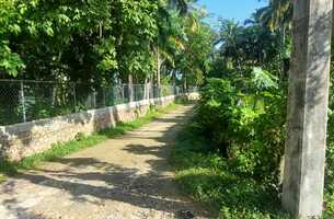Lot in Cosón, Dominican Republic