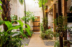 House in Las Terrenas, Dominican Republic