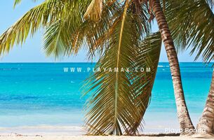 House in Las Terrenas, Dominican Republic