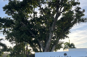 House in Las Terrenas, Dominican Republic