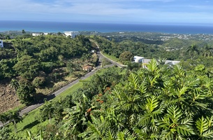 House in Las Terrenas, Dominican Republic