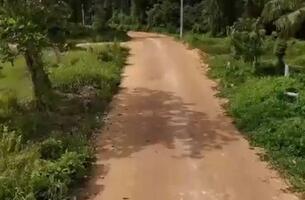 Lot in Playa Popy, Dominican Republic