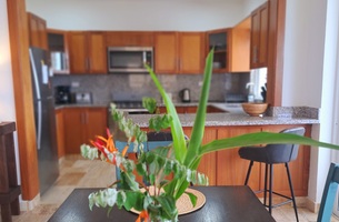 Condo in Cosón, Dominican Republic