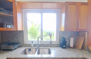 Condo in Cosón, Dominican Republic