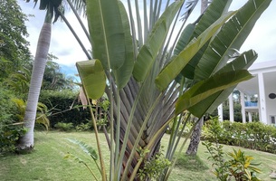 House in Playa Bonita, Dominican Republic